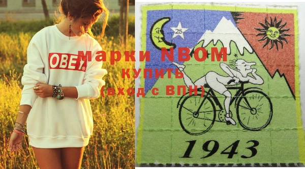 шишки Бородино